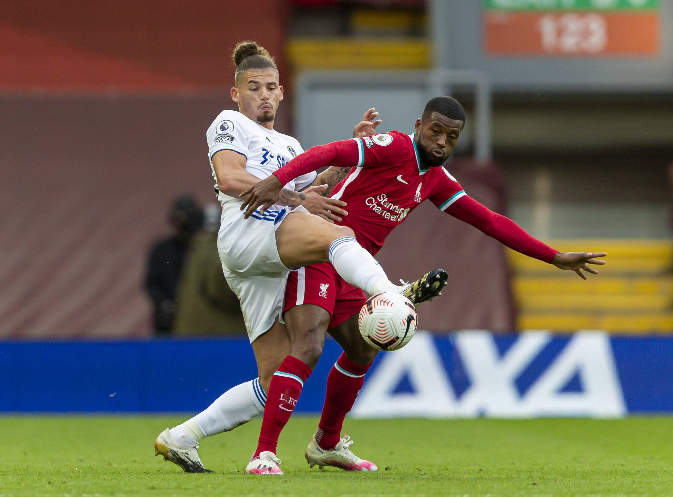 更是整个葡 更是整个葡