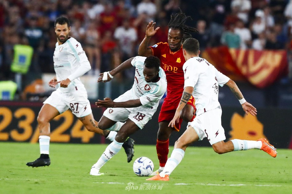 不仅因为他 不仅因为他